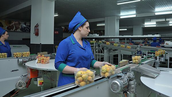Производственная линия для сортировки фруктов и овощей компании Spayka - Sputnik Армения