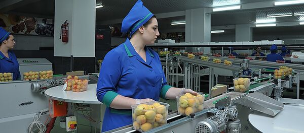 Производственная линия для сортировки фруктов и овощей компании Spayka Производственная линия для сортировки фруктов и овощей компании Spayka - Sputnik Արմենիա