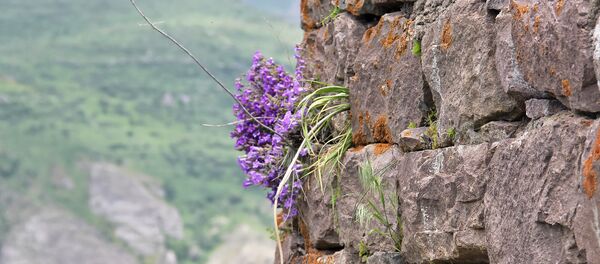 Смбатаберд, Вайоц Дзор Смбатаберд, Вайоц Дзор - Sputnik Արմենիա