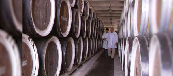 Коньячный завод Арарат был приватизирован за 28 миллионов долларов - Sputnik Армения