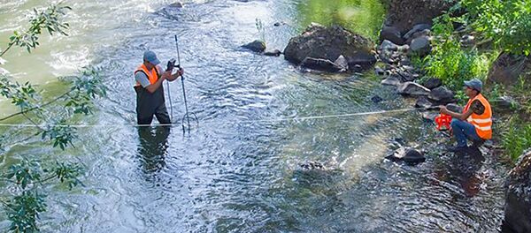 Экологи проверяют воду около Амулсара - Sputnik Армения