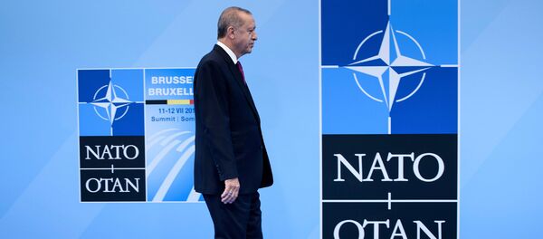 Президент Турции Реджеп Тайип Эрдоган прибыл в Брюссель для участия в саммите глав государств и правительств стран НАТО Президент Турции Реджеп Тайип Эрдоган прибыл в Брюссель для участия в саммите глав государств и правительств стран НАТО - Sputnik Армения