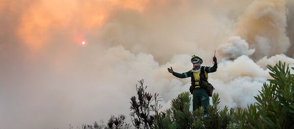 Фотография Джастина Салливана (ЮАР) из категории серии В огне: за гранью Моя Планета - Sputnik Армения