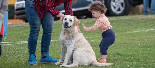 Парк экстремальных развлечений Yell Extreme Park в общине Енокаван Тавушской области Парк экстремальных развлечений Yell Extreme Park в общине Енокаван Тавушской области - Sputnik Армения