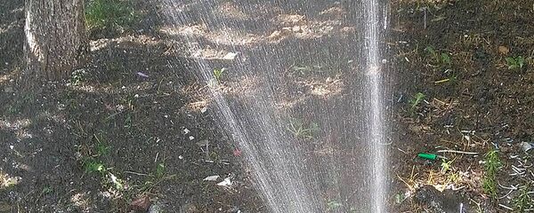 Оросительная система сквера на улице Ерзнкян, Еревaн Оросительная система сквера на улице Ерзнкян, Еревaн - Sputnik Արմենիա