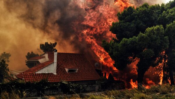 Лесные пожары близ Афин (23 июля 2018). Кинета, Греция - Sputnik Արմենիա