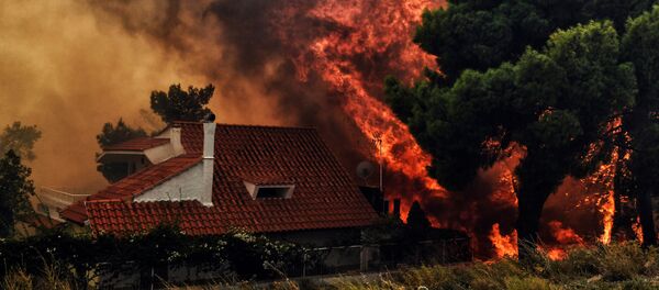 Лесные пожары близ Афин (23 июля 2018). Кинета, Греция Лесные пожары близ Афин (23 июля 2018). Кинета, Греция - Sputnik Արմենիա