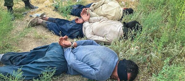 Нарушители армяно-турецкой границы Нарушители армяно-турецкой границы - Sputnik Армения