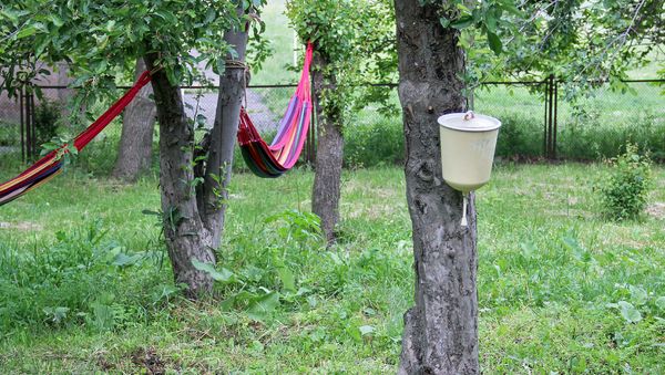 Дворик отеля Бенсон, село Гомк, Вайоц Дзор Дворик отеля Бенсон, село Гомк, Вайоц Дзор - Sputnik Արմենիա