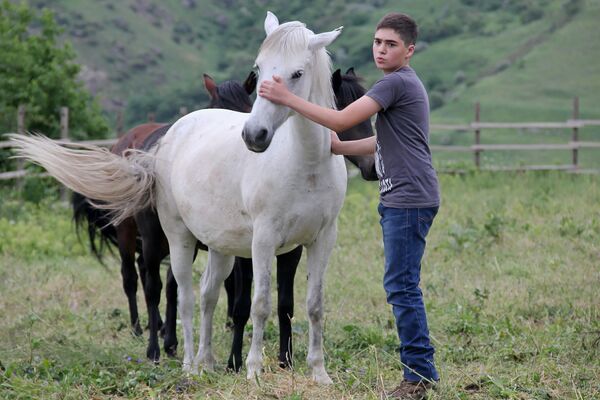 Сын основателей отеля Бенсон Беник Асланян на ипподроме Сын основателей отеля Бенсон Беник Асланян на ипподроме - Sputnik Армения