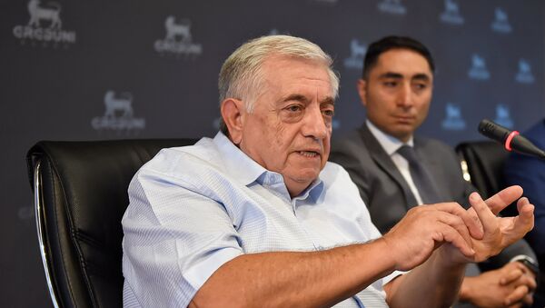 Адвокат Рубен Саакян во время пресс-конференции (28 июля 2018). Еревaн - Sputnik Армения