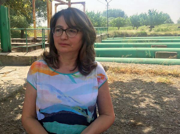 Председатель Водного комитета, Инесса Габаян - Sputnik Արմենիա