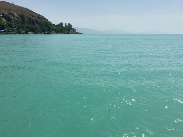 Озеро Севан вновь зацвело: почему министр окружающей среды не разделил паники экологов - Sputnik Армения