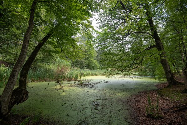 Земли есть, а денег нет: бывшие чиновники не платят за арендованное имущество Земли есть, а денег нет: бывшие чиновники не платят за арендованное имущество - Sputnik Армения