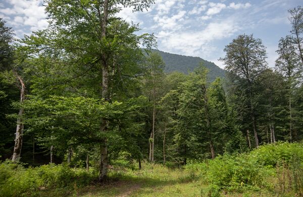 Земли есть, а денег нет: бывшие чиновники не платят за арендованное имущество Земли есть, а денег нет: бывшие чиновники не платят за арендованное имущество - Sputnik Армения