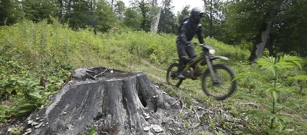 Ռեյնջերները հսկում են Դիլիջանի անտառները - Sputnik Արմենիա