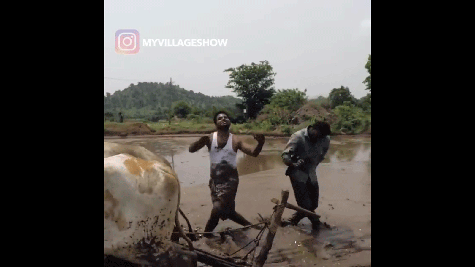 Кики челендж по-индуски - Sputnik Армения