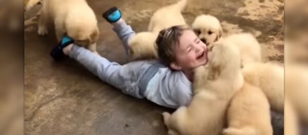 Мальчик и щенки - Sputnik Армения