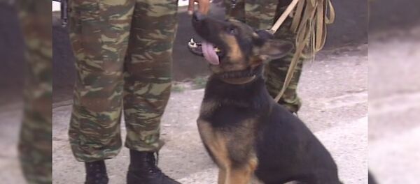 Армяно-турецкую границу нарушила группа жителей далёкого Бангладеш - Sputnik Армения