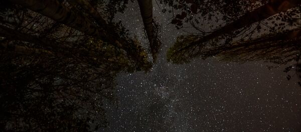 Метеорный поток Персеиды - Sputnik Армения