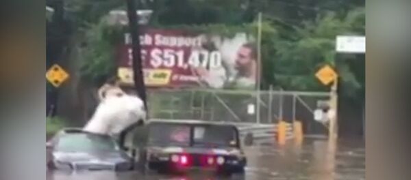 В США спасли девушку в свадебном платье из тонущего автомобиля В США спасли девушку в свадебном платье из тонущего автомобиля - Sputnik Արմենիա