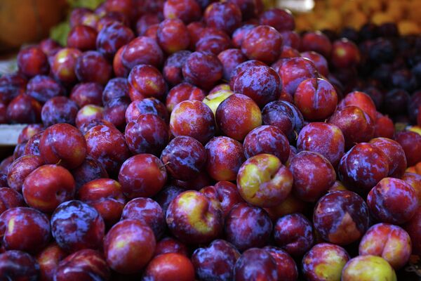 Сливы Сливы - Sputnik Армения