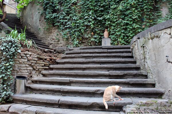 Лестницы во дворе дома на улице Павле Ингороква 14 Лестницы во дворе дома на улице Павле Ингороква 14 - Sputnik Армения