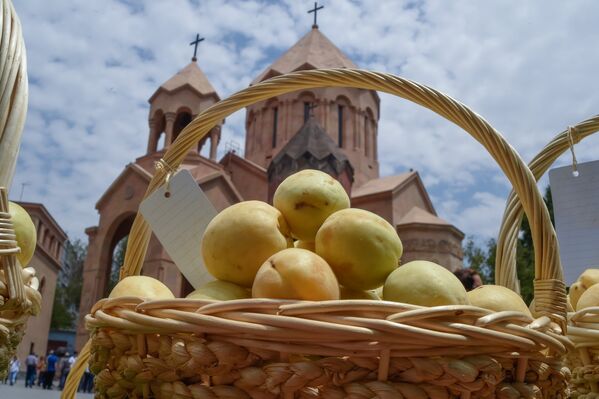 Освящение абрикосов - Sputnik Армения