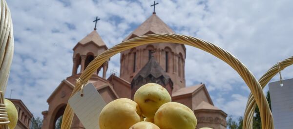 Освящение абрикосов Освящение абрикосов - Sputnik Армения