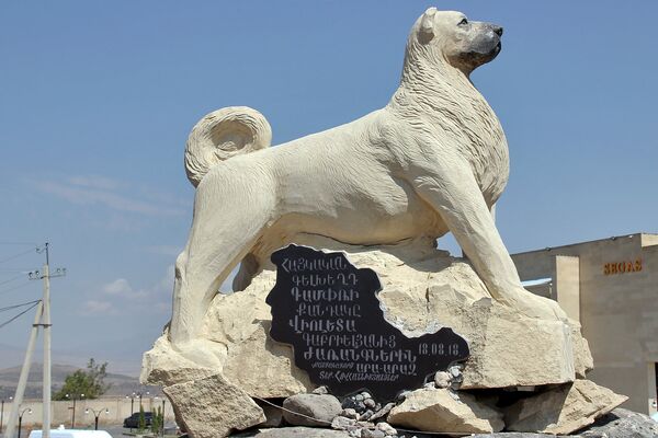 Торжественное открытие монумента армянскому гампру (22 августа 2018). Котайк Торжественное открытие монумента армянскому гампру (22 августа 2018). Котайк - Sputnik Արմենիա