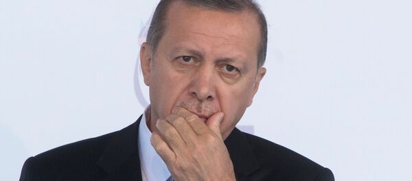Президент Турции Тайип Эрдоган - Sputnik Армения