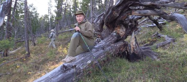 Отдых президента: грибы, ягоды и прогулки по горам в Туве Отдых президента: грибы, ягоды и прогулки по горам в Туве - Sputnik Արմենիա