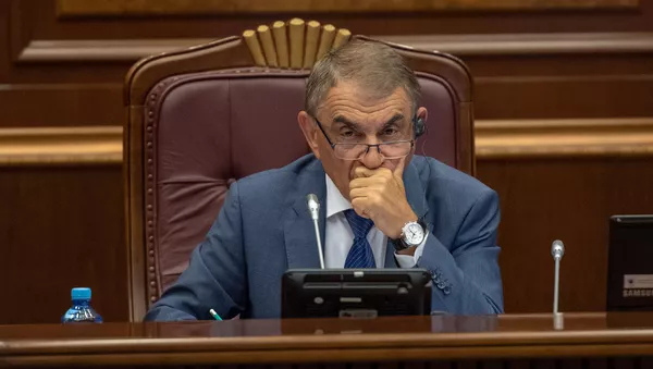 Спикер Парламента Армении Ара Баблоян на внеочередном заседании НС (28 августа 2018). Еревaн - Sputnik Армения