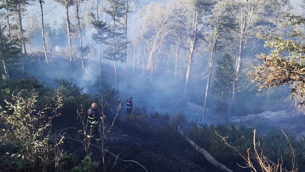 Пожар в лесу в Хашурском районе - Sputnik Արմենիա