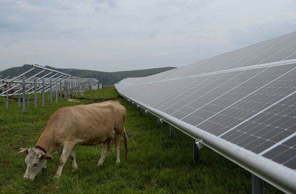 Умный хлев для коров: сельчане потерялись в туманном проекте правительства Армении и шутят Умный хлев для коров: сельчане потерялись в туманном проекте правительства Армении и шутят - Sputnik Армения