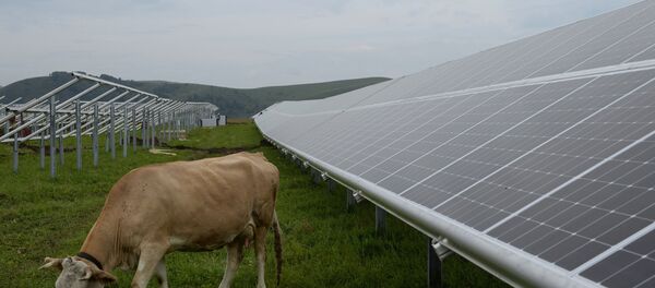 Панели солнечной электростанции - Sputnik Армения