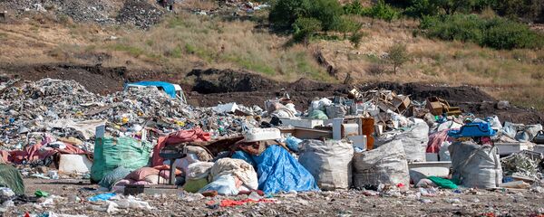 Мусорная свалка в Нубарашене - Sputnik Армения