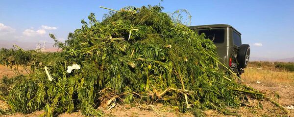 Борьба с незаконным оборотом наркотических средств вблизи государственной границы РА - Sputnik Армения