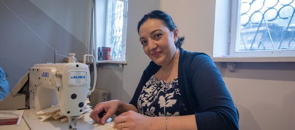 Мини-фабрика в Дилижане Мини-фабрика в Дилижане - Sputnik Արմենիա