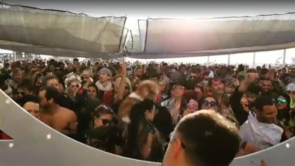 Армянская музыка играет на фестивале Burning Man в США - Sputnik Արմենիա