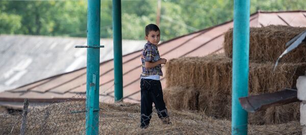 Село Баганис - Sputnik Армения