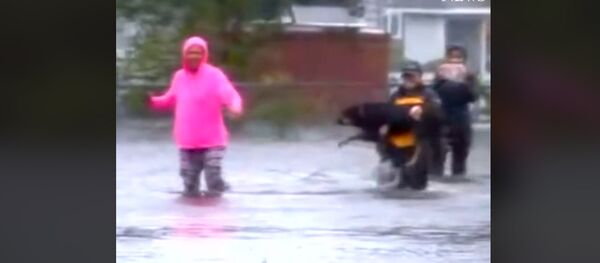 Журналист АBC прервал прямой эфир, чтобы спасти собаку в зоне урагана Флоренс Журналист АBC прервал прямой эфир, чтобы спасти собаку в зоне урагана Флоренс - Sputnik Армения