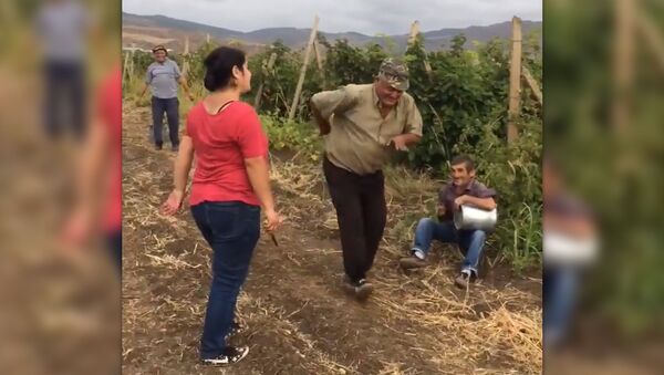 Сбор винограда под живую музыку - Sputnik Армения