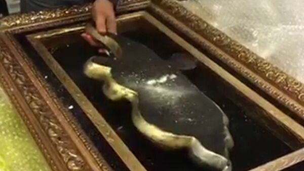 КГД раскрыл крупный случай вывоза наркотиков - Sputnik Армения