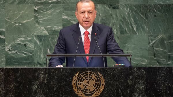 Выступление президента Турции Реджепа Тайипа Эрдогана на Генеральной ассамблее ООН (25 сентября 2018). Нью-Йорк - Sputnik Армения