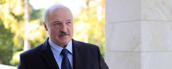 Президент РФ В. Путин встретился с президентом Белоруссии А. Лукашенко Президент РФ В. Путин встретился с президентом Белоруссии А. Лукашенко - Sputnik Армения