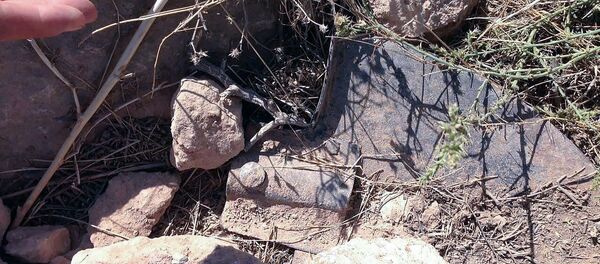 Убийство в Армавире Убийство в Армавире - Sputnik Արմենիա