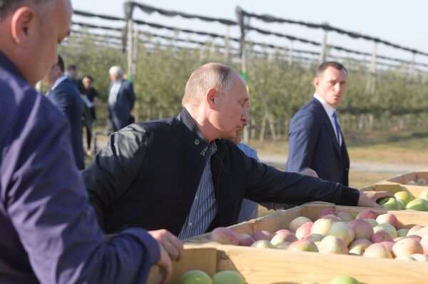Я ж что приехал? Пообедать! Путин пообщался с народом без всякой красовки  - Sputnik Армения