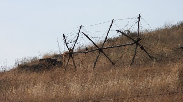 Ранненый пес после обстрела снайперской винтовкой с азербайджанской стороны Ранненый пес после обстрела снайперской винтовкой с азербайджанской стороны - Sputnik Արմենիա