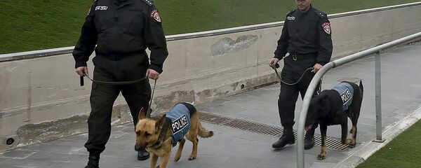 Кинологи - Sputnik Армения